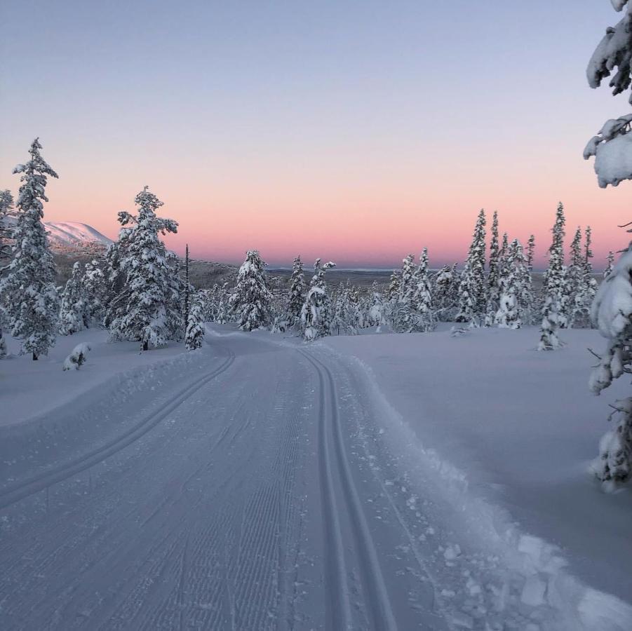 In The Middle Of Trysil Fjellet - Welcome Center - Apartment With 4 Bedrooms And Sauna - By Bike Arena And Ski Lift ภายนอก รูปภาพ