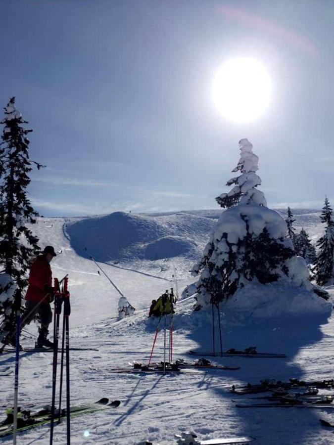In The Middle Of Trysil Fjellet - Welcome Center - Apartment With 4 Bedrooms And Sauna - By Bike Arena And Ski Lift ภายนอก รูปภาพ